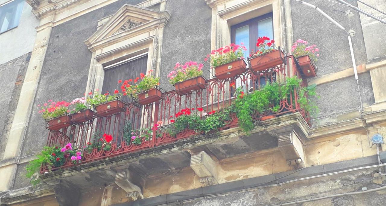 B&B Da Rosa Linguaglossa Dış mekan fotoğraf